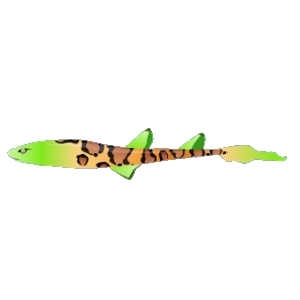 Jungle Cat Shark